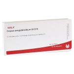 CORPUS AMYGDALOIDEUM GL D 15 Ampullen (PZN 2915235) из Германии