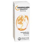 SCROPHULARIA SIMILIAPLEX Tropfen (PZN 1354438) из Германии