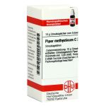 PIPER METHYSTICUM C 30 Globuli (PZN 1856200) из Германии