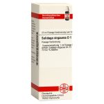 SOLIDAGO VIRGAUREA D 1 Dilution (PZN 2621999) из Германии