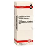 LEONURUS CARDIACA Urtinktur (PZN 2926262) из Германии
