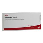 BINDEGEWEBE GL D 12 Ampullen (PZN 3359606) из Германии
