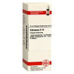 ECHINACEA HAB D 12 Dilution (PZN 2613126) из Германии