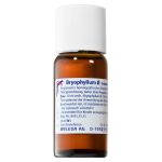 BRYOPHYLLUM D 1 Dilution (PZN 1613087) из Германии