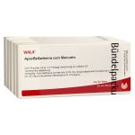 APIS BELLADONNA cum Mercurio Ampullen (PZN 2084662) из Германии