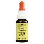 BACHBLÜTEN Murnauer Tropfen Rock Water (PZN 7752648) из Германии