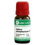 KALIUM PHOSPHORICUM LM 6 Dilution (PZN 7540797) из Германии