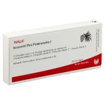 ISCUCIN pini Potenzreihe I Ampullen (PZN 4429243) из Германии