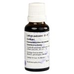 LEDUM Urtinktur D 1 Hanosan (PZN 7431677) из Германии