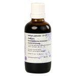LEDUM Urtinktur D 1 Hanosan (PZN 7431683) из Германии