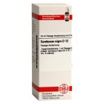 SAMBUCUS NIGRA D 12 Dilution (PZN 7179522) из Германии