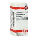 HELLEBORUS D 12 Globuli (PZN 4219942) из Германии