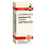 EUPHORBIUM D 30 Globuli (PZN 7247301) из Германии
