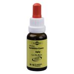 BACHBLÜTEN Murnauer Tropfen Holly (PZN 7752370) из Германии