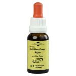 BACHBLÜTEN Murnauer Tropfen Aspen (PZN 7752401) из Германии