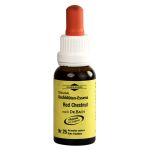 BACHBLÜTEN Murnauer Tropfen Red Chestnut (PZN 7752631) из Германии