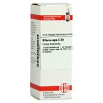 ALLIUM CEPA C 30 Dilution (PZN 7158081) из Германии