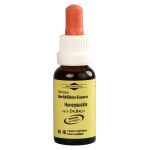 BACHBLÜTEN Murnauer Tropfen Honeysuckle (PZN 7752565) из Германии