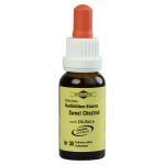 BACHBLÜTEN Murnauer Tropfen Sweet Chestnut (PZN 7752714) из Германии