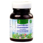 Ayurvedisches Eisenrasayana Tabletten (PZN 6893192) из Германии