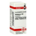 HELLEBORUS C 30 Globuli (PZN 4219907) из Германии