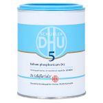 BIOCHEMIE DHU 5 Kalium phosphoricum D 12 Tabletten (PZN 274217) из Германии