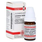 LATRODECTUS mactans C 200 Globuli (PZN 7248157) из Германии