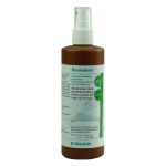 BRAUNODERM Sprühflasche Lösung (PZN 8505165) из Германии