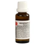 REGENAPLEX Nr.510 a Tropfen (PZN 8800510) из Германии
