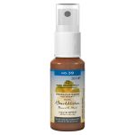 BACHBLÜTEN Notfall No.39 Spray Nacht (PZN 9892980) из Германии