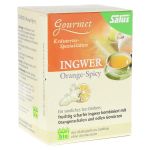 INGWER ORANGE Spicy Tee Salus Filterbeutel (PZN 9003980) из Германии