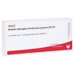 MEDULLA OBLONGATA Ventriculus quartus GL D 15 Amp. (PZN 3356097) из Германии