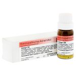 GINKGO D 6 Globuli (PZN 908544) из Германии