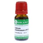 CALCIUM ARSENICOSUM LM 6 Dilution (PZN 7539363) из Германии