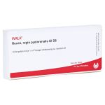 RENES REGIO pyelorenalis GL D 6 Ampullen (PZN 3354804) из Германии