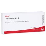 CORPUS LUTEUM GL D 12 Ampullen (PZN 3360176) из Германии
