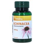 ECHINACEA 1000 mg Kapseln (PZN 15571079) из Германии