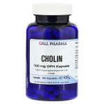 CHOLIN 100 mg GPH Kapseln (PZN 9721729) из Германии