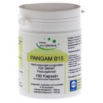 PANGAM Vitamin B15 Vegi Kapseln (PZN 3868561) из Германии