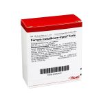 FERRUM METALLICUM INJEEL forte Ampullen (PZN 380209) из Германии