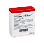 MUSCULUS SUIS Injeel Ampullen (PZN 693339) из Германии