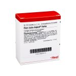 REN suis Injeel forte Ampullen (PZN 864410) из Германии
