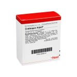 CRATAEGUS INJEEL Ampullen (PZN 246741) из Германии