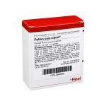 PULMO SUIS Injeel Ampullen (PZN 845648) из Германии
