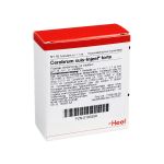 CEREBRUM SUIS Injeel forte Ampullen (PZN 193358) из Германии