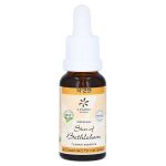 BACHBLÜTEN No.29 Star of Bethlehem Bio (PZN 10310799) из Германии