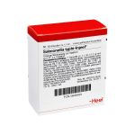 SALMONELLA TYPHI Injeel Ampullen (PZN 896999) из Германии