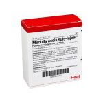 MEDULLA OSSIS suis Injeel Ampullen (PZN 664220) из Германии