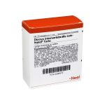 DISCUS INTERVERTEBRALIS suis Injeel forte Ampullen (PZN 290073) из Германии