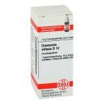 DIOSCOREA VILLOSA D 12 Globuli (PZN 7247169) из Германии